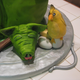 Image for article titled How to Build Your Own Angry Birds Cake